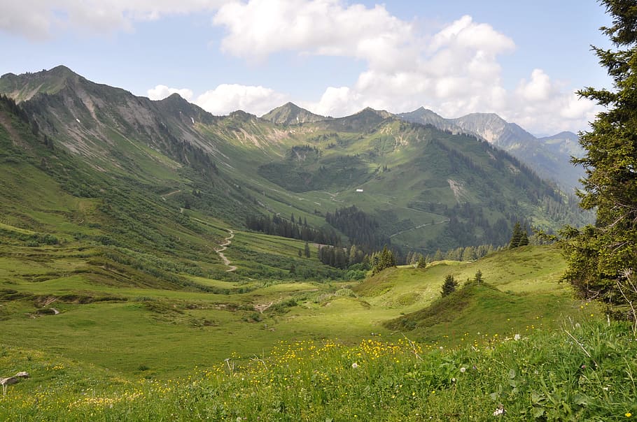 mountains, meadow, h, sky, landscape, alm, forest, grasses HD wallpaper