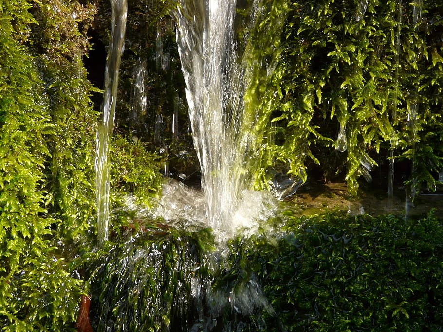 Water, Bach, Creek, Bubble, Tufa, Moss, splash, tree, forest HD wallpaper
