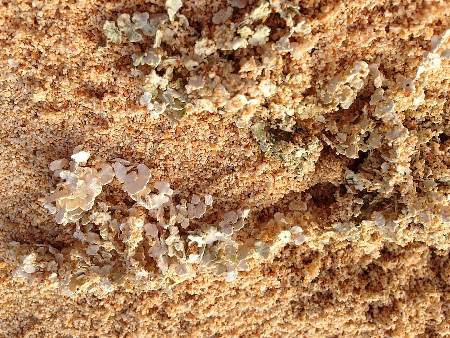 sand, beach, saipan, tinian, pacific, cnmi, south, world, wwii HD wallpaper