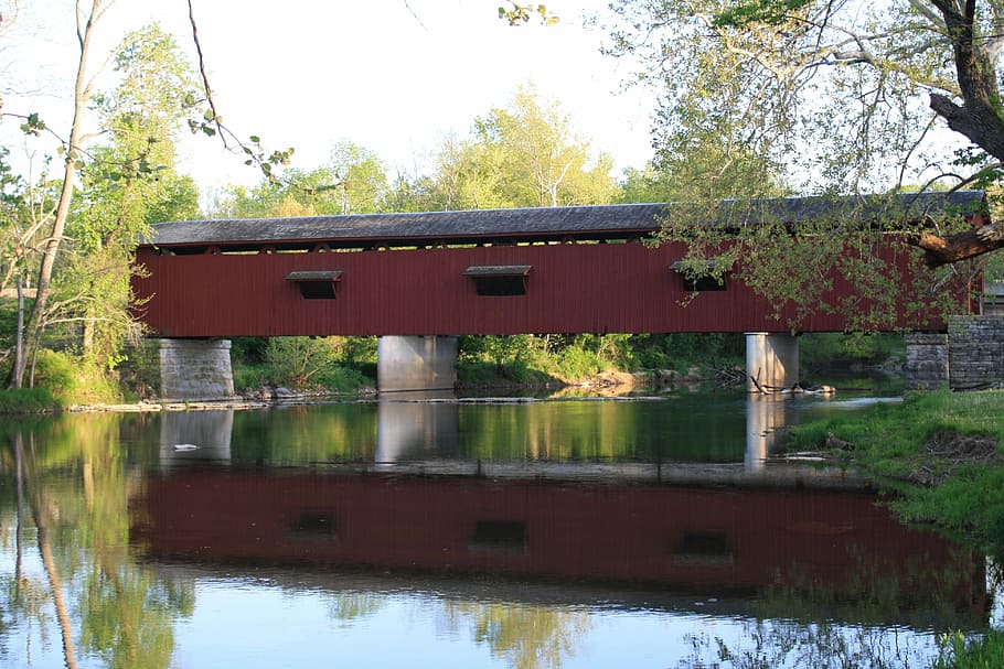 Bridge, Reflection, Outdoors, no people, tree, day, built structure HD wallpaper