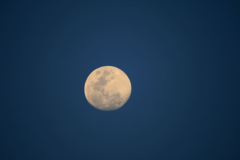 full moon, round, orb, sky, night, space, astronomy, beauty in nature HD wallpaper