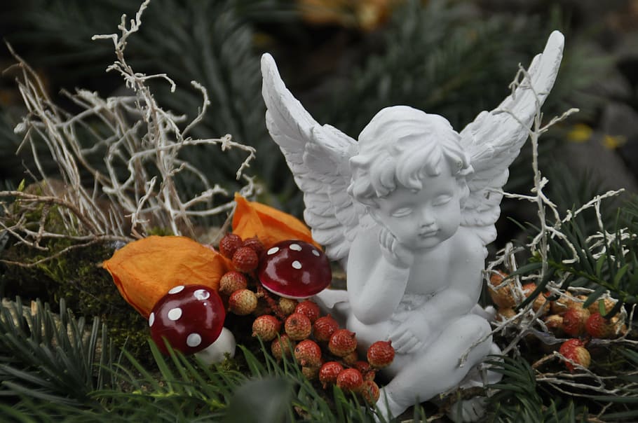 christmas, angel, food, plant, no people, food and drink, nature HD wallpaper