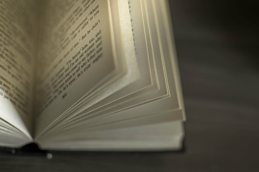 selective focus photography of opened bible, books, table, blurred HD wallpaper