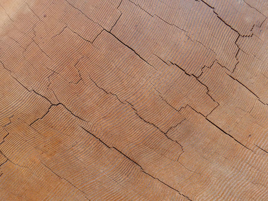 untitled, wood, timber, tree, nature, forest, wooden, design HD wallpaper