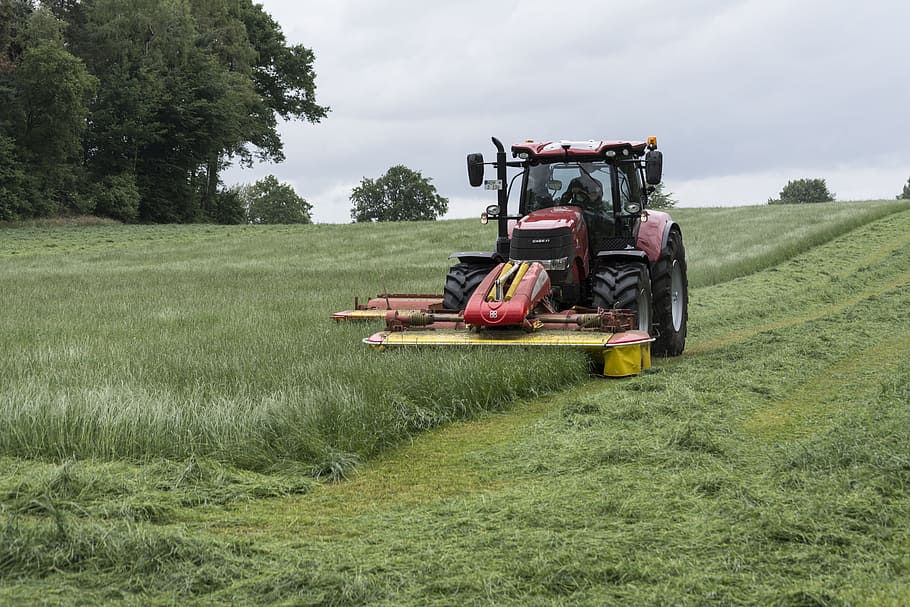 red tractor mowing grass field at daytime, Lawn Mowing, Farmers, HD wallpaper