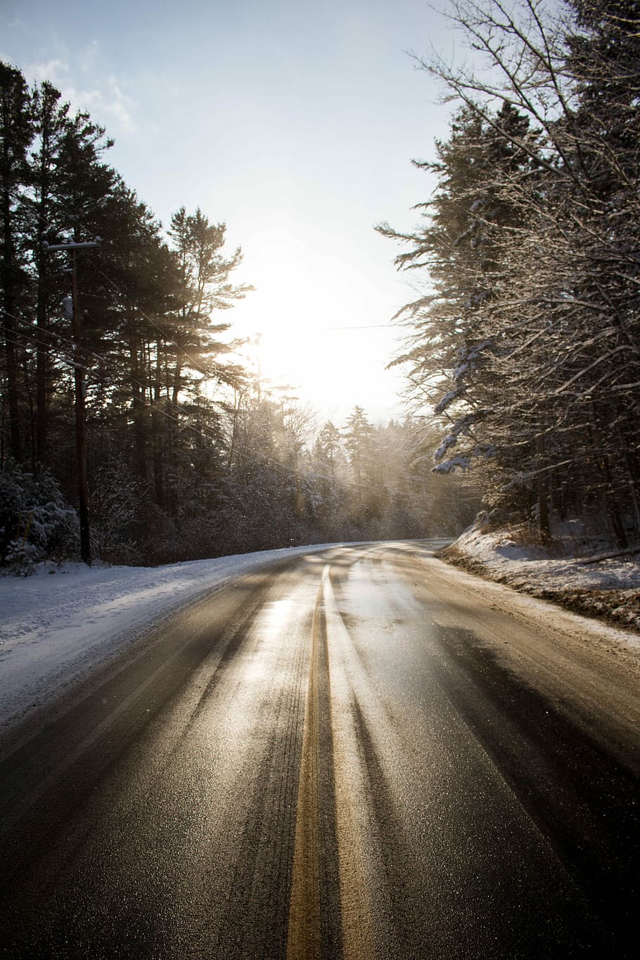 empty road between trees, black concrete road near trees during daytime HD wallpaper