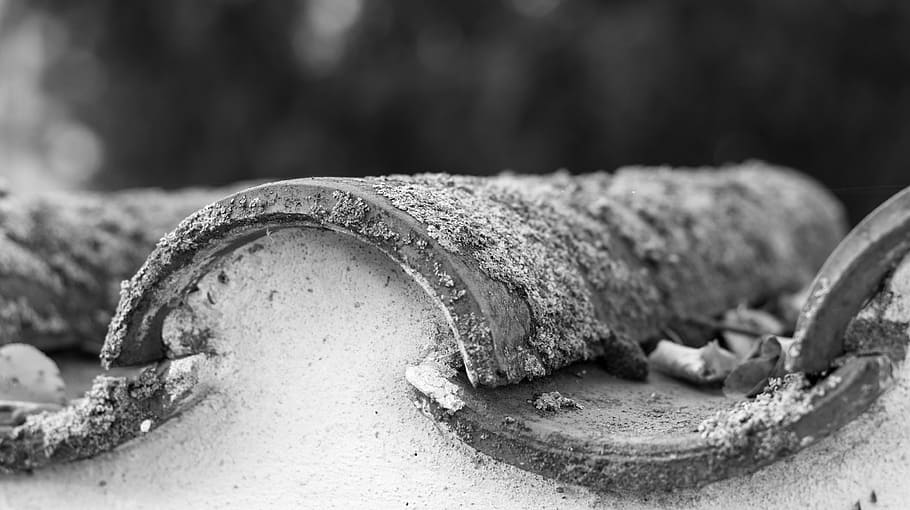 wall, moss, leaves, atmosphere, architecture, building, street HD wallpaper