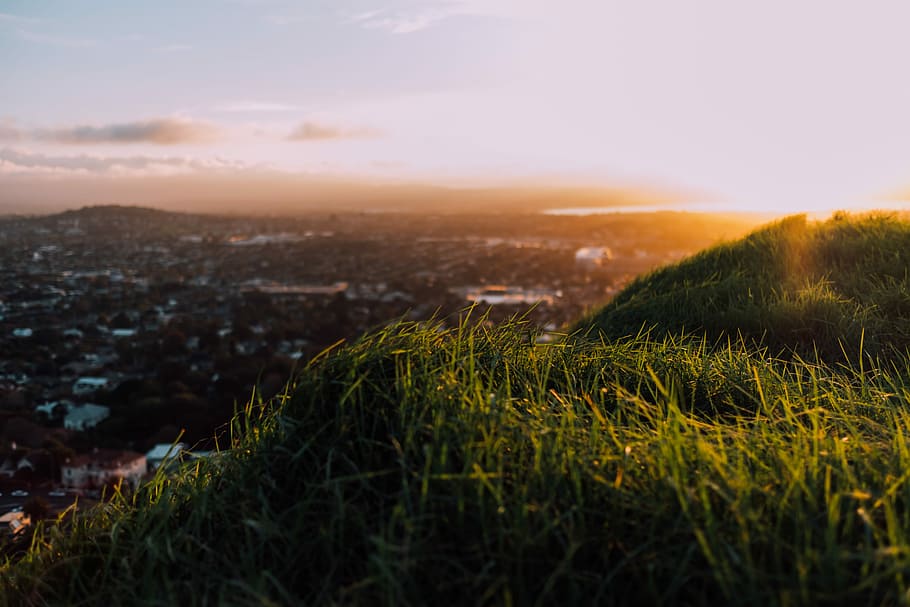 landscape photography of green grass overlooking houses, green grass on mountain HD wallpaper