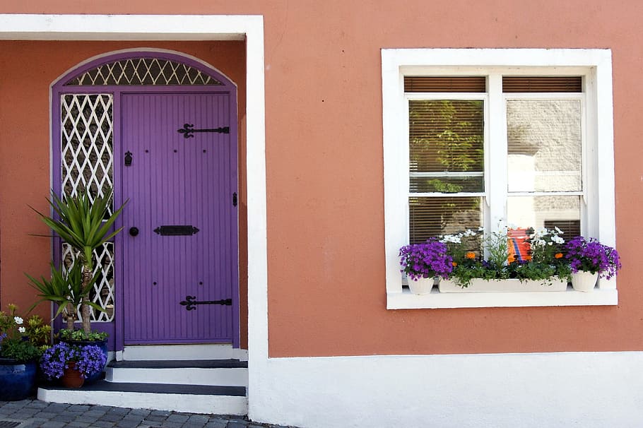 House, Wall, Door, Window, Input, Facade, house wall, flower HD wallpaper