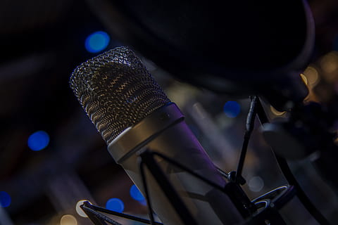 Macro of microphone and recording equipment, selective focus photo of gray condenser microphone HD wallpaper