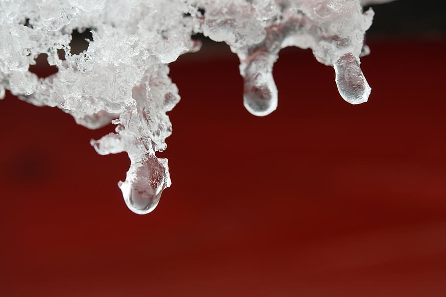 macro photo of ice crystals, snow, winter, wintry, drip, defrost, HD wallpaper