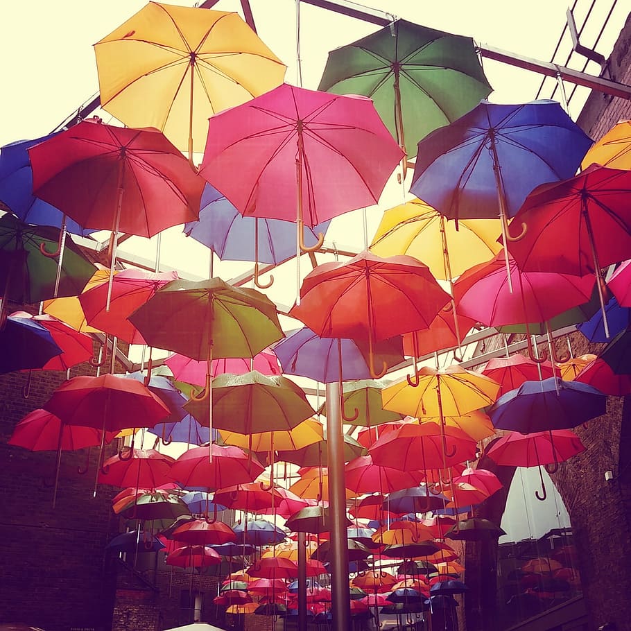 umbrella decor on alley, rain, colors, parasol, protection HD wallpaper