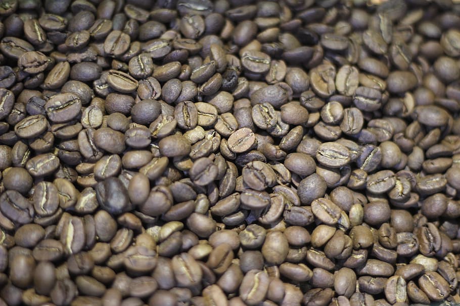 seed, food, batch, coffee, drink, nuts, brown, latte, texture HD wallpaper