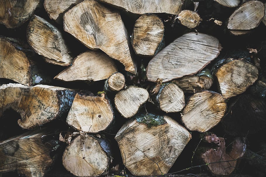 tree log lot during daytime, pile of firewood, logs, winter, nature HD wallpaper