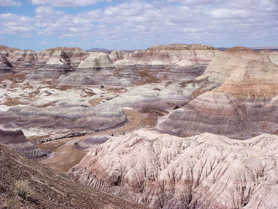 Petrified wood 1080P, 2K, 4K, 5K HD wallpapers free download ...