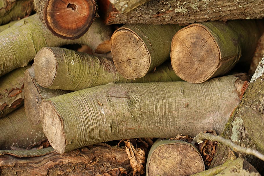 log, tree, wood, timber, lumber, forest, industry, environment HD wallpaper
