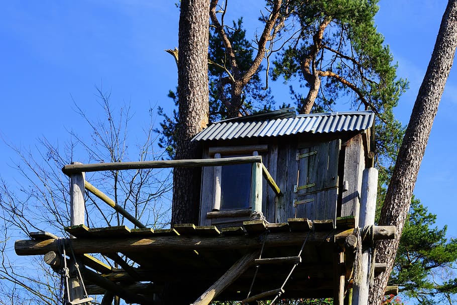 gray wooden house on tree, treehouse, nature, tree hut, play HD wallpaper