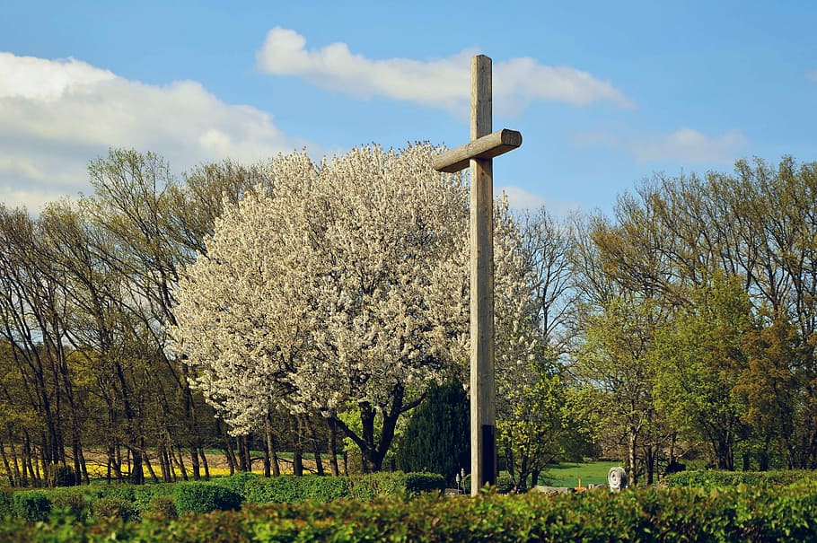 gray concrete cross near trees, cemetery, spring, sky, nature HD wallpaper