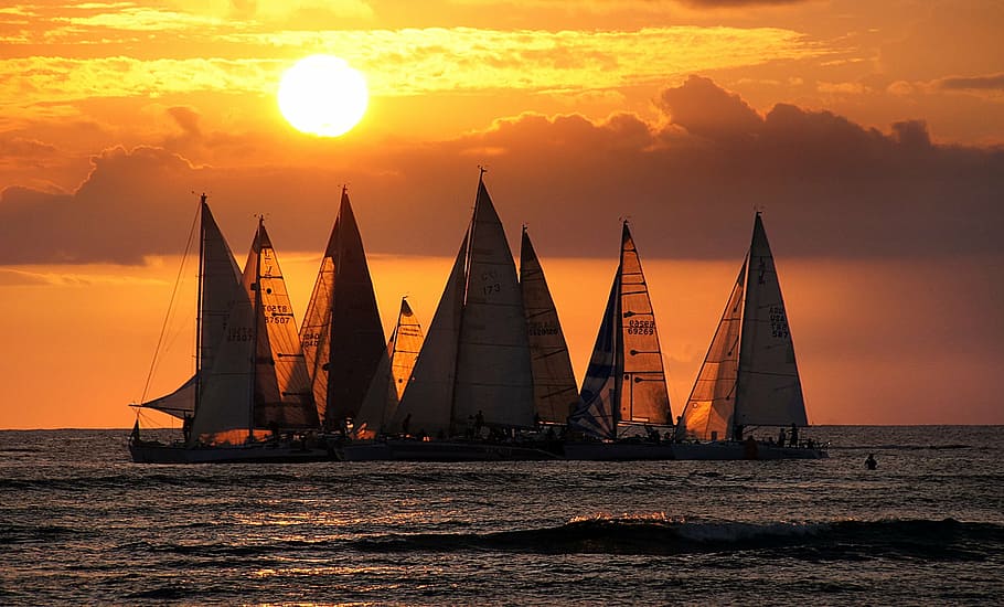 group sailing boat on body of water during sunset, sailboats, HD wallpaper