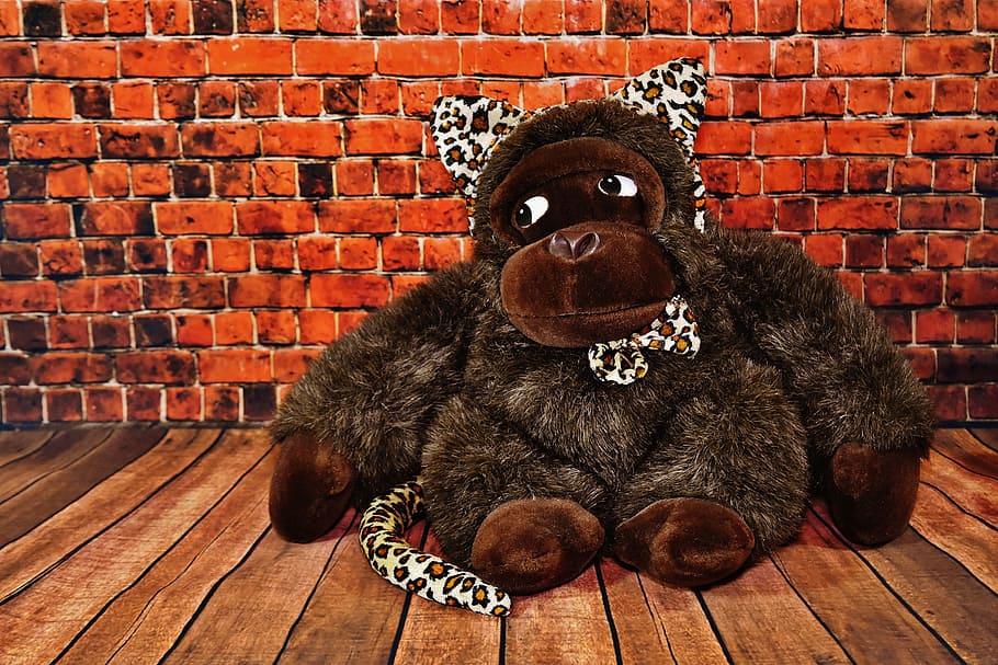 Carnival, Panel, Fool, Time, Monkey, fool-time, leopard ears HD wallpaper
