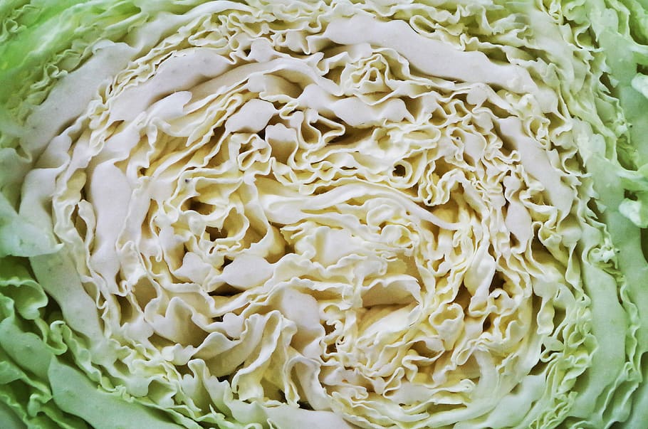 Cabbage, Chinese, Vegetables, Salad, food and drink, healthy eating HD wallpaper