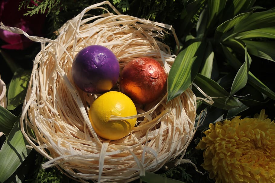 easter, rabbit, egg, food and drink, freshness, no people, healthy eating HD wallpaper