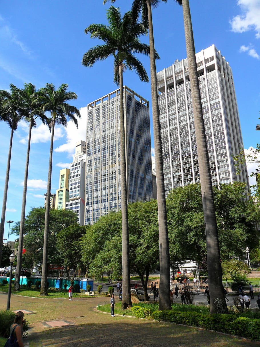 são paulo, architecture, square branches, tree, city, built structure HD wallpaper