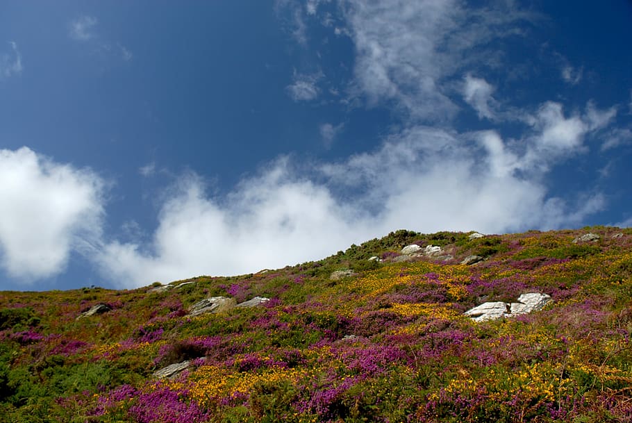 Ireland, Landscape, Clouds, Erika, sky, autumn, nature, scenics HD wallpaper
