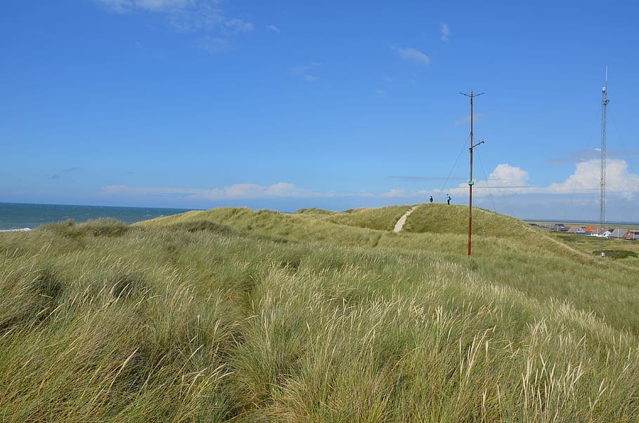 denmark, north sea, dunes, thorsminde, beach, sky, coast, grass, HD wallpaper