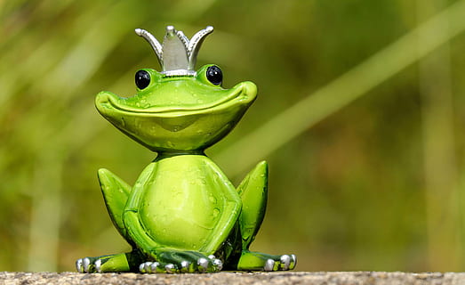 green king frog figurine in close up photo, figure, cute, funny HD wallpaper