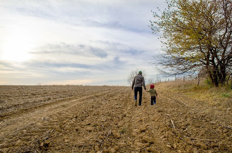 man and boy walking on dirt road near brown tree, nature, plains HD wallpaper