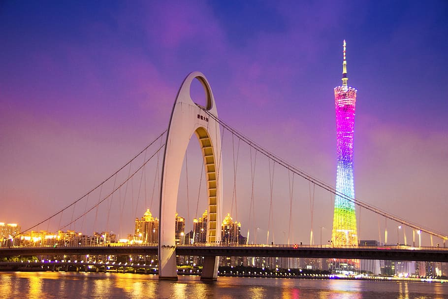 beige bridge near multicolored building, Canton Tower, Starfish HD wallpaper