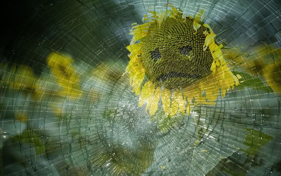 yellow sunflower with face on broken glass illustration, sad