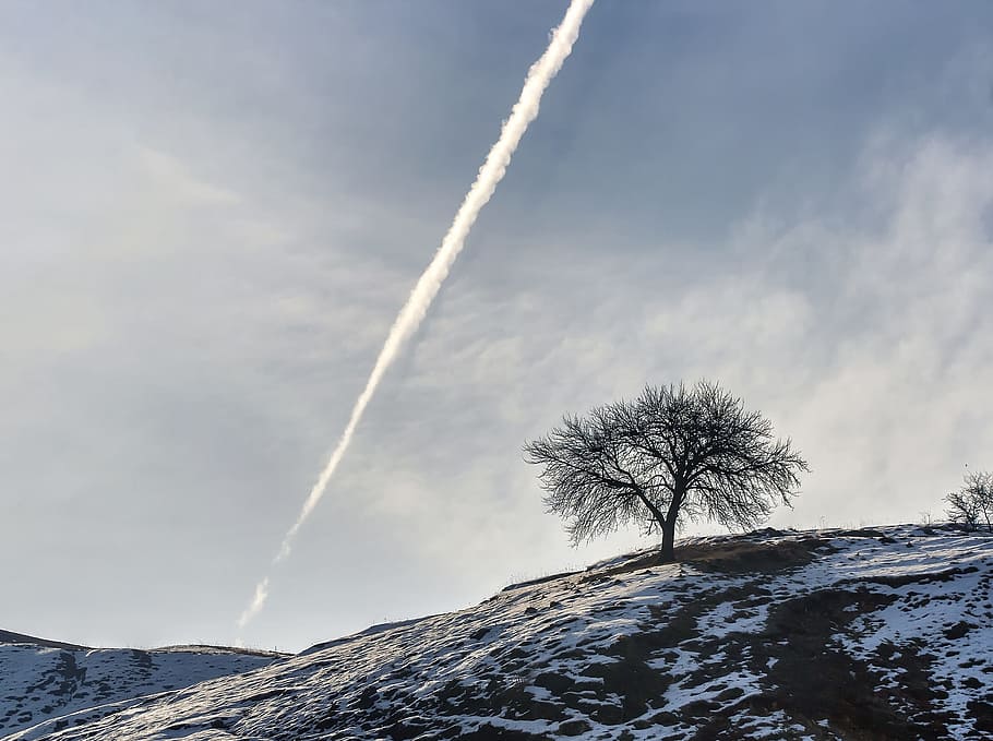 Hill, Top, Top, Tree, Mountain Top, nature, adventure, landscape HD wallpaper