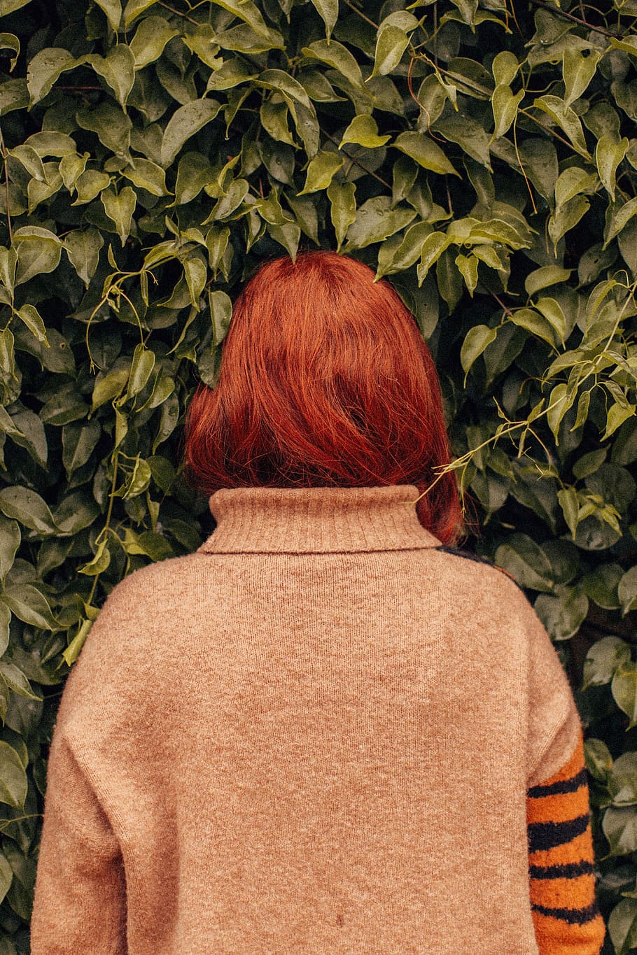 woman facing leafed plant, woman with red hair in gray, orange, and black sweater facing on green plant HD wallpaper
