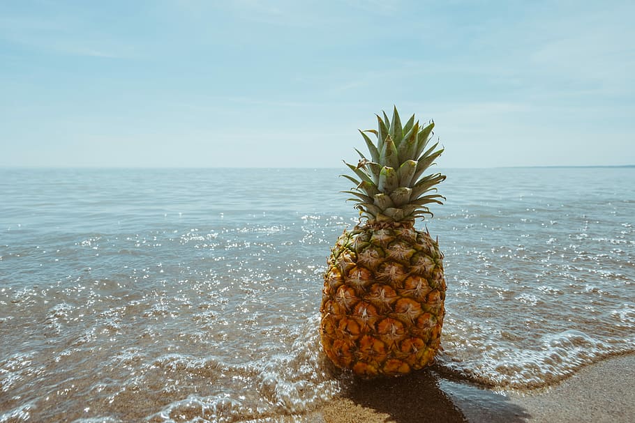 pineapple fruit on seashore, pineapple on beach, water, tropical HD wallpaper
