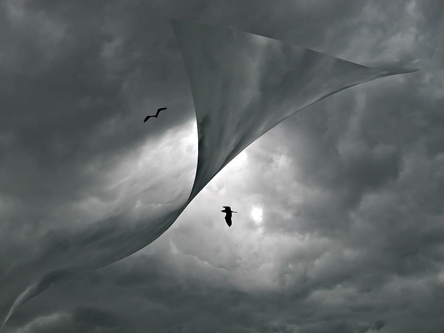 two on flight dragons, cloudscape, birds, weather, gray, abstract HD wallpaper
