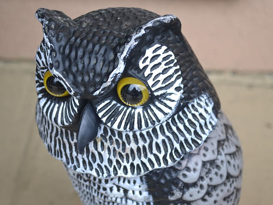 Owl, Fake, Statue, Plastic, Decoy, artificial, decoration, bird, HD wallpaper