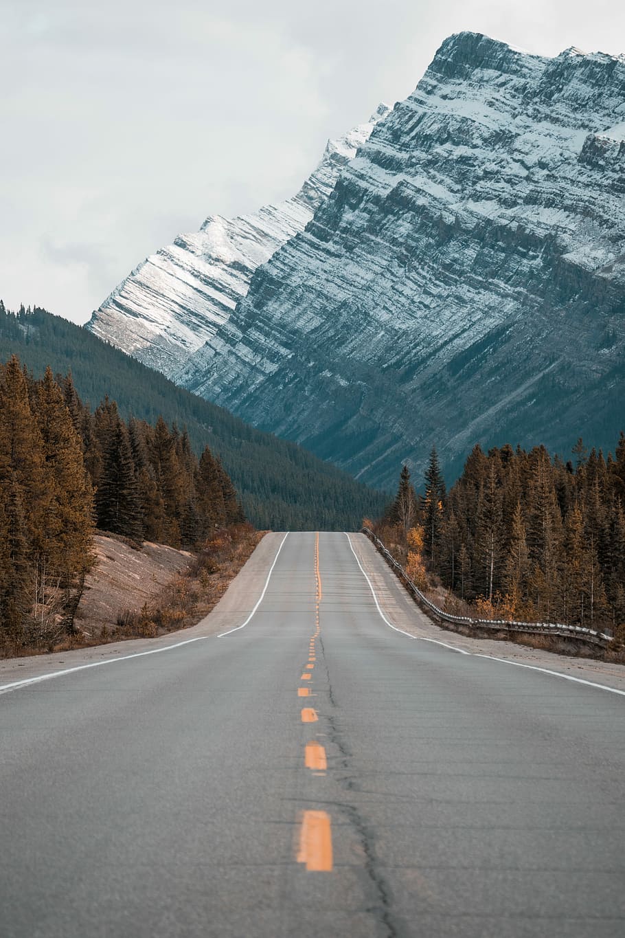 gray concrete road between trees near mountain, road near mountain HD wallpaper