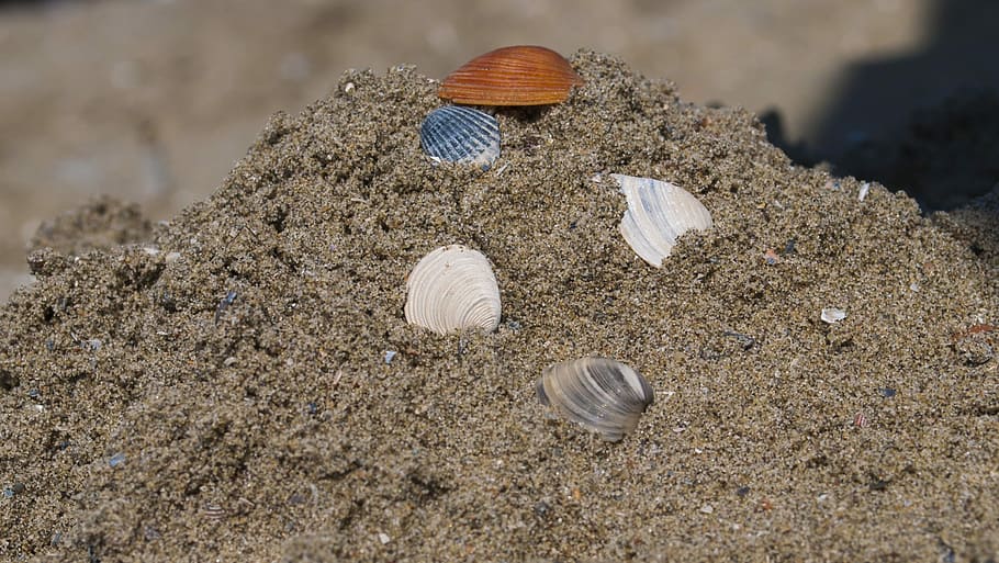 sea, sand, beach, ocean, summer, vacation, tropical, nature HD wallpaper
