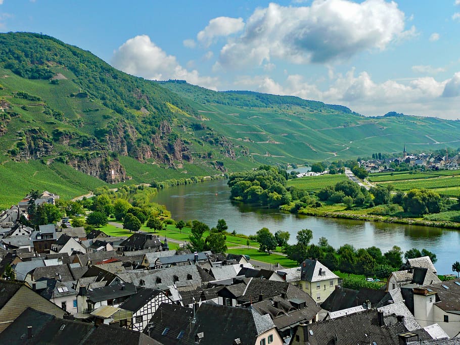 Ürzig, Mosel, Sachsen, Germany, Wine, ürzig, vineyards, landscape HD wallpaper