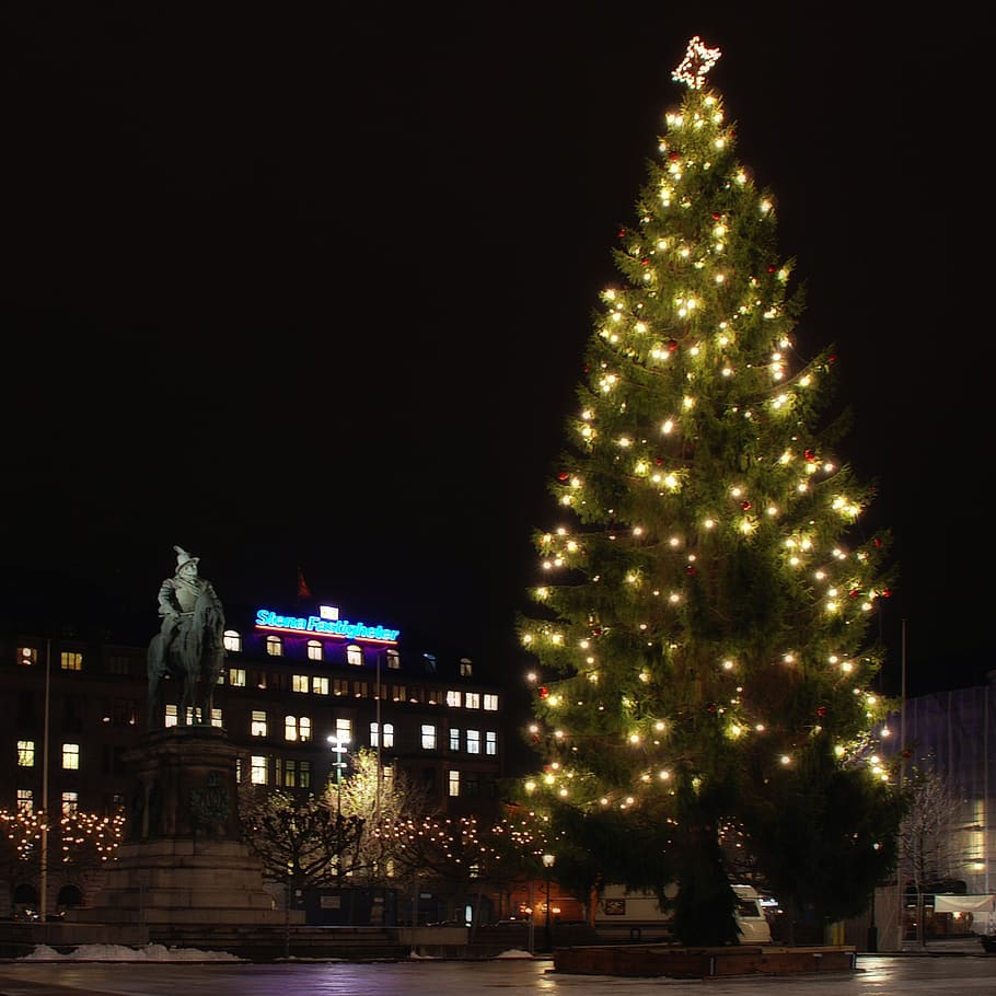 malmo, sweden, night, christmas tree, hotel, statue, monument, HD wallpaper