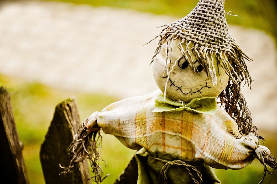 Doll, Bad, Witch, Rag, nature, outdoors, focus on foreground HD wallpaper