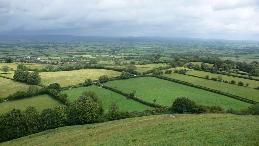 England, Somerset, Landscape, Wilderness, scenery, natural, HD wallpaper