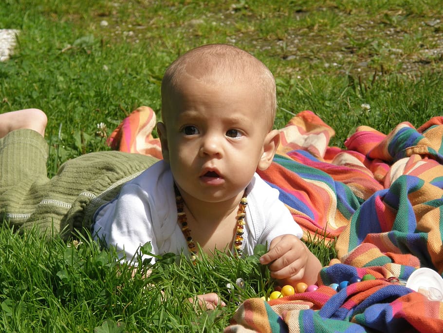 child, nature, human, out, person, experience nature, childhood HD wallpaper