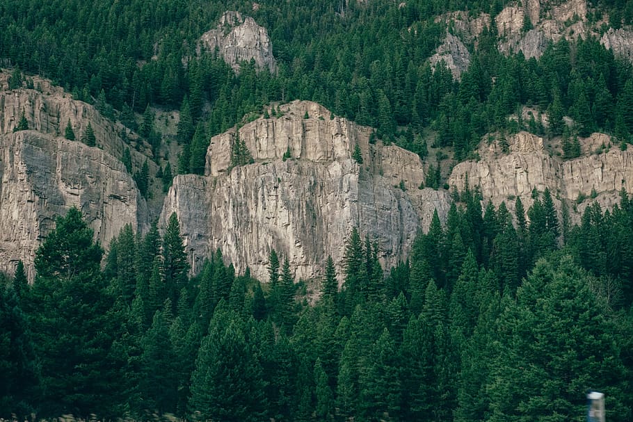 nature, landscape, mountains, cliff, rocks, forests, trees HD wallpaper