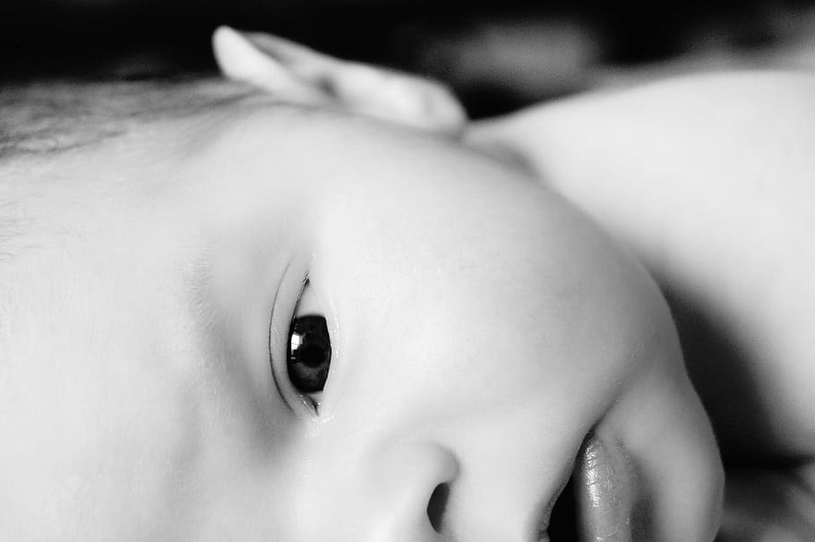 close up photo of baby grayscale photo, bebe, newborn, mama HD wallpaper