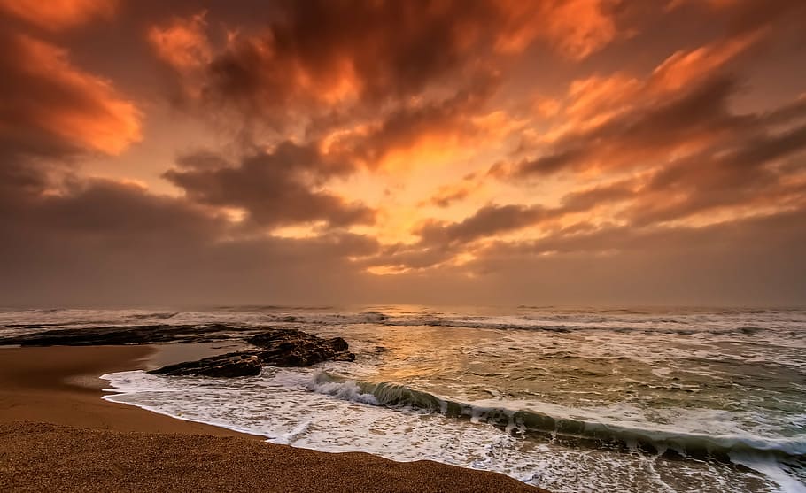 landscape photography of seashore during golden hour, beach, dawn, HD wallpaper