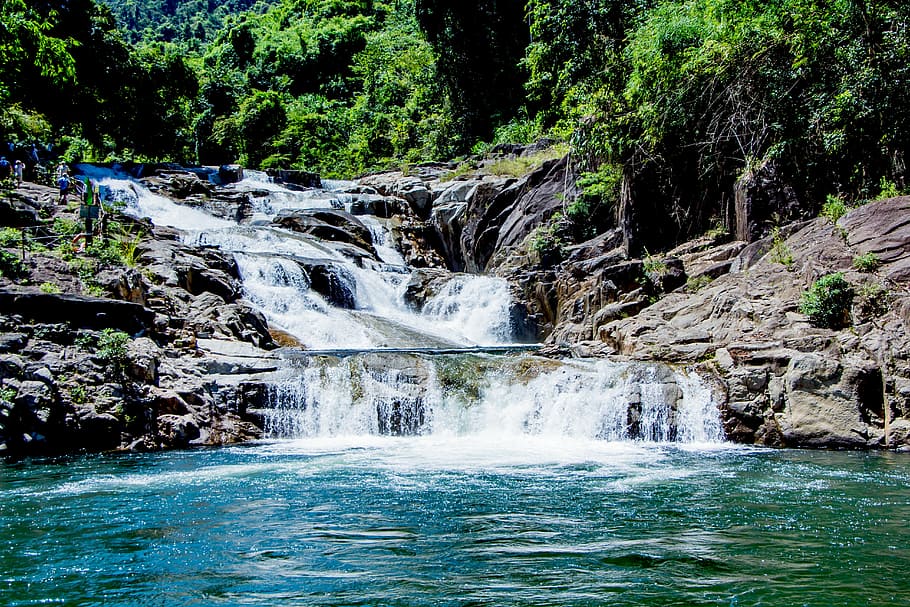 time-lapse photography of waterfall surrounded by trees, streams HD wallpaper
