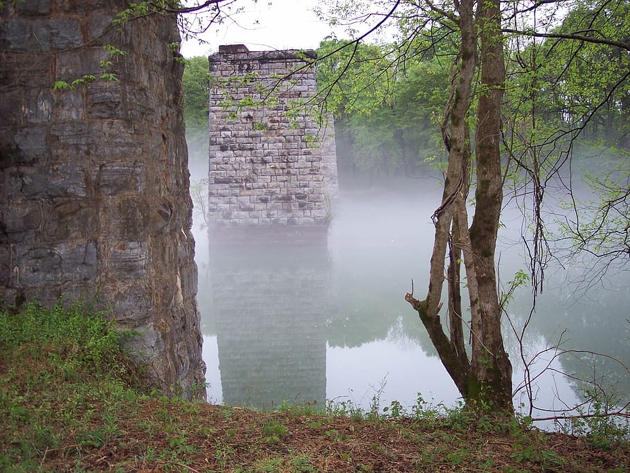 fog, river, old, cobblestone, water, nature, scenic, tree, plant HD wallpaper
